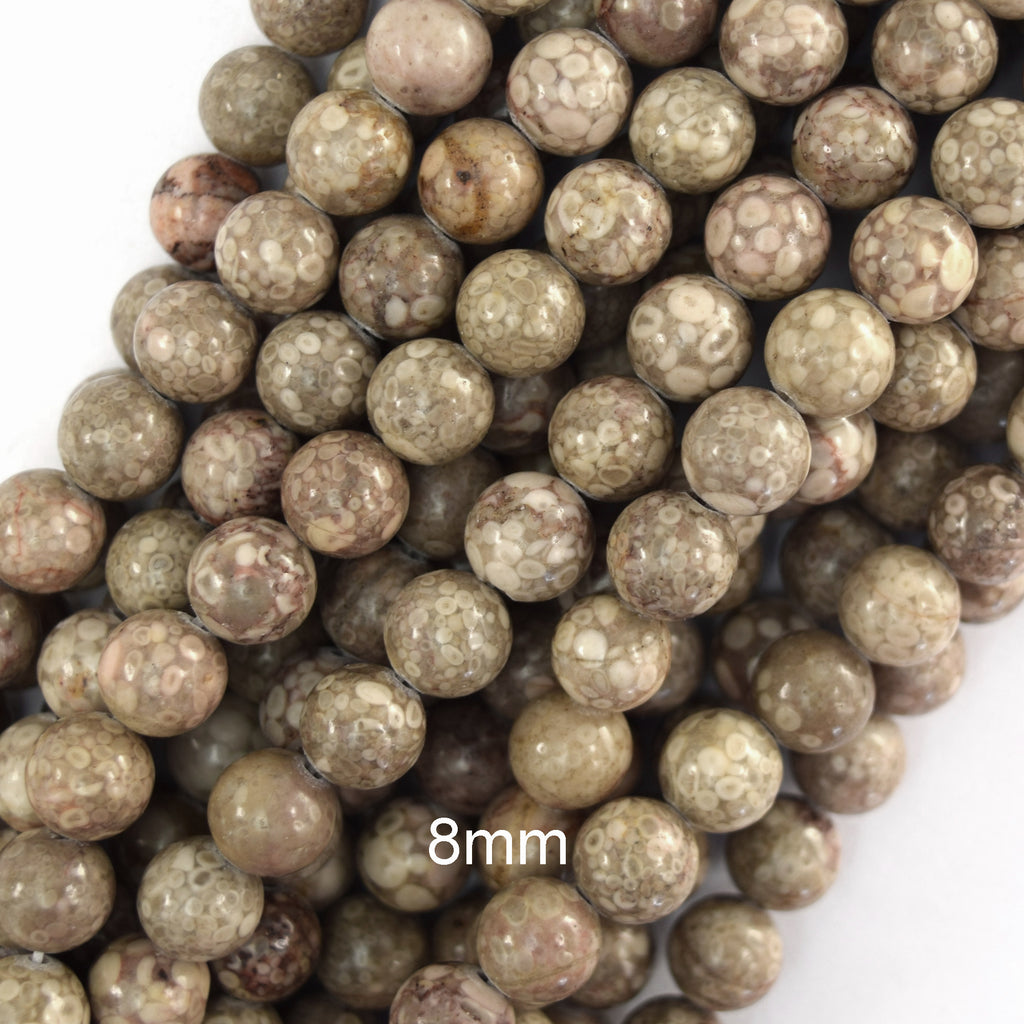 Natural Fossil Jasper Round Beads Gemstone 15" Strand 6mm 8mm 10mm