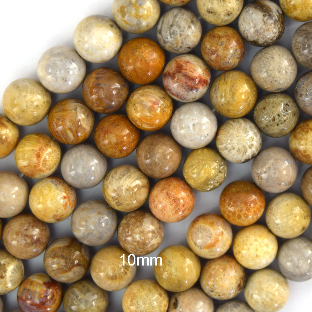 Natural Fossil Coral Round Beads Gemstone 14.5" Strand 4mm 6mm 8mm 10mm