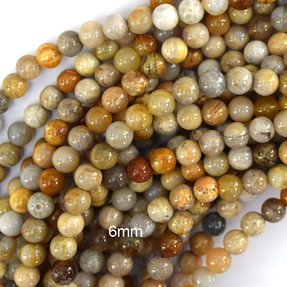 Natural Fossil Coral Round Beads Gemstone 14.5" Strand 4mm 6mm 8mm 10mm