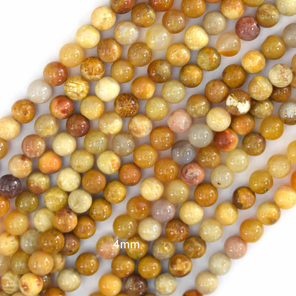 Natural Fossil Coral Round Beads Gemstone 14.5