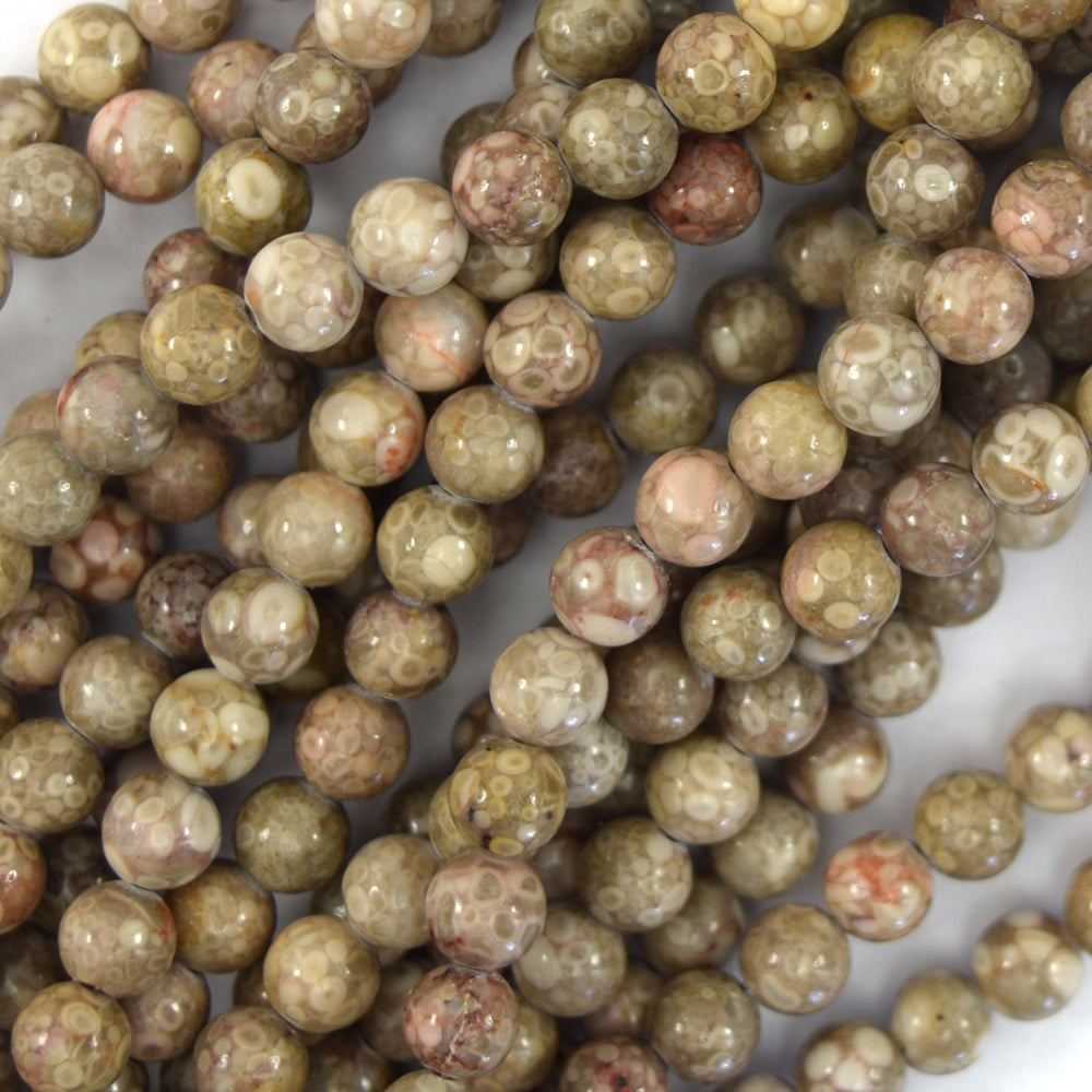 Natural Fossil Jasper Round Beads Gemstone 15.5