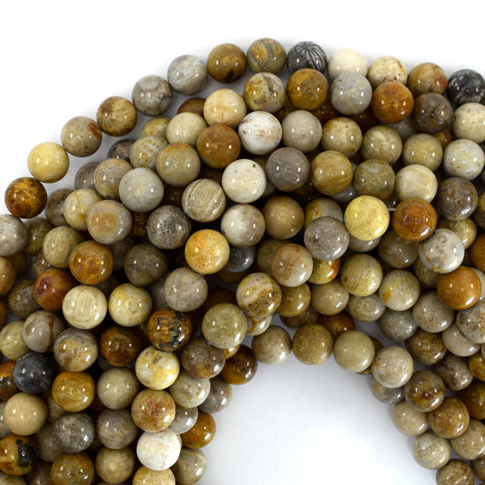 Natural Fossil Coral Round Beads Gemstone 15" Strand 4mm 6mm 8mm 10mm