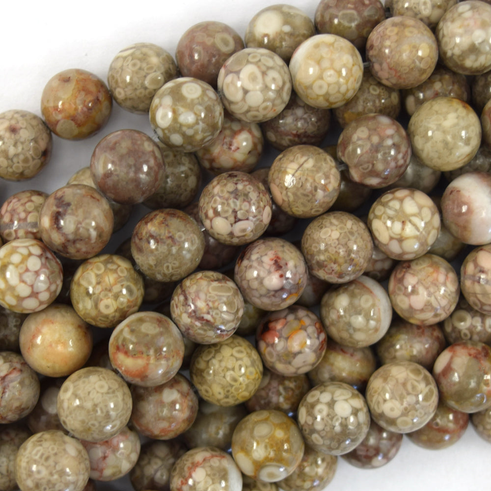 Natural Fossil Jasper Round Beads Gemstone 15.5" Strand 6mm 8mm 10mm