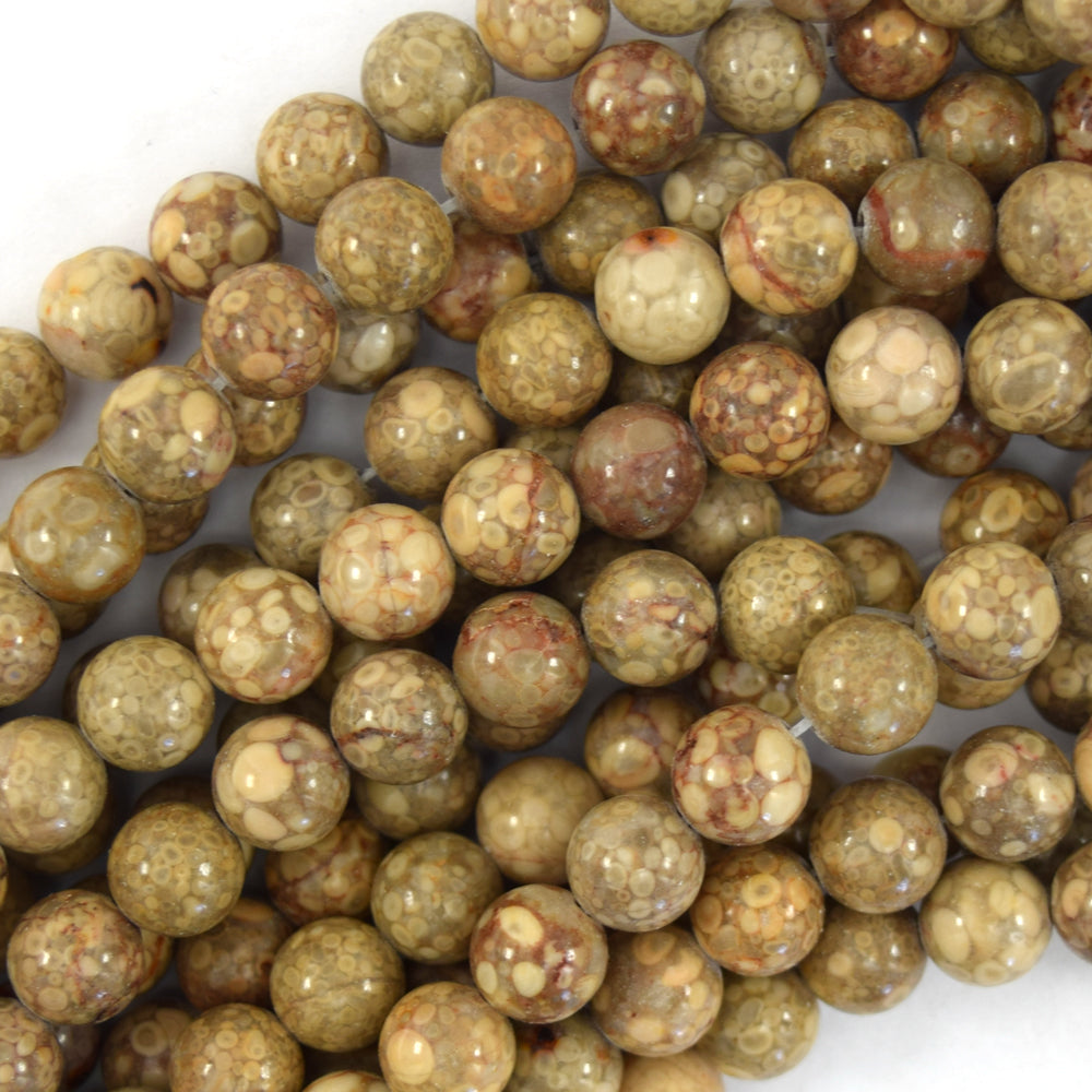 Natural Fossil Jasper Round Beads Gemstone 15.5" Strand 6mm 8mm 10mm