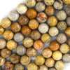 Natural Fossil Coral Round Beads Gemstone 14.5