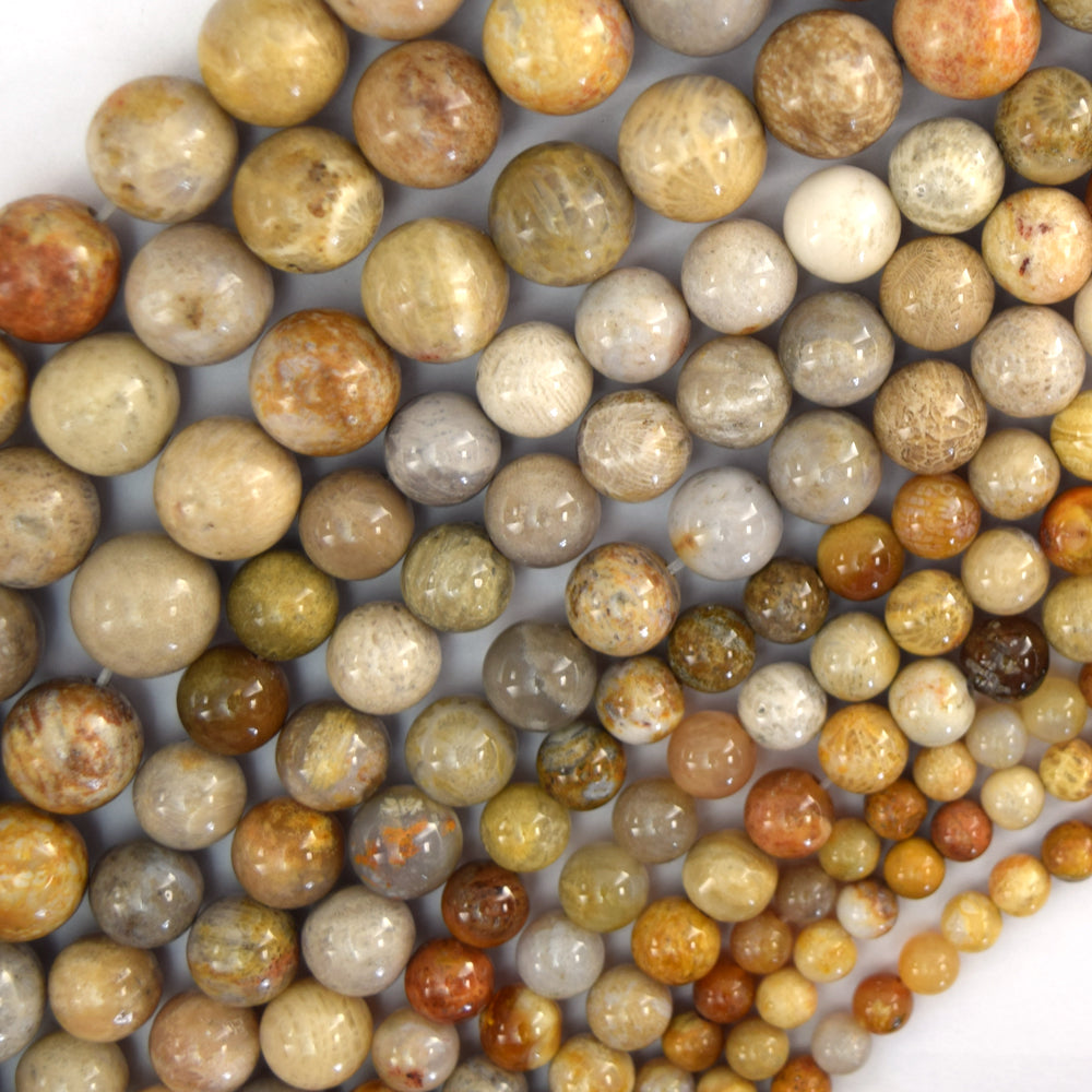 Natural Fossil Coral Round Beads Gemstone 14.5" Strand 4mm 6mm 8mm 10mm