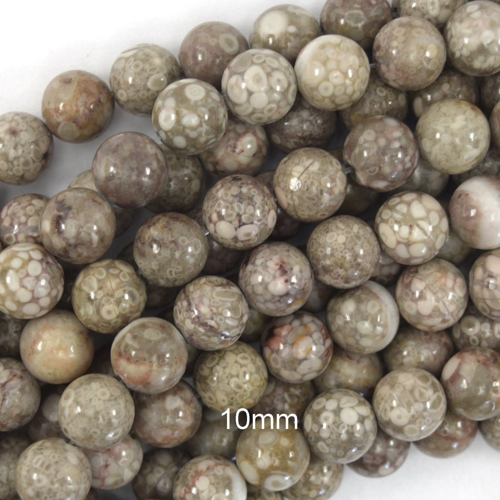 Natural Fossil Jasper Round Beads Gemstone 15" Strand 6mm 8mm 10mm
