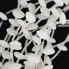 Natural White Jade Briolette Teardrop Beads Gemstone 15