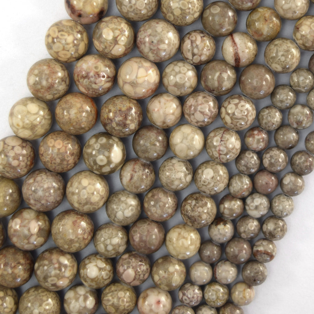 Natural Fossil Jasper Round Beads Gemstone 15" Strand 6mm 8mm 10mm