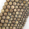 Natural Fossil Jasper Round Beads Gemstone 15