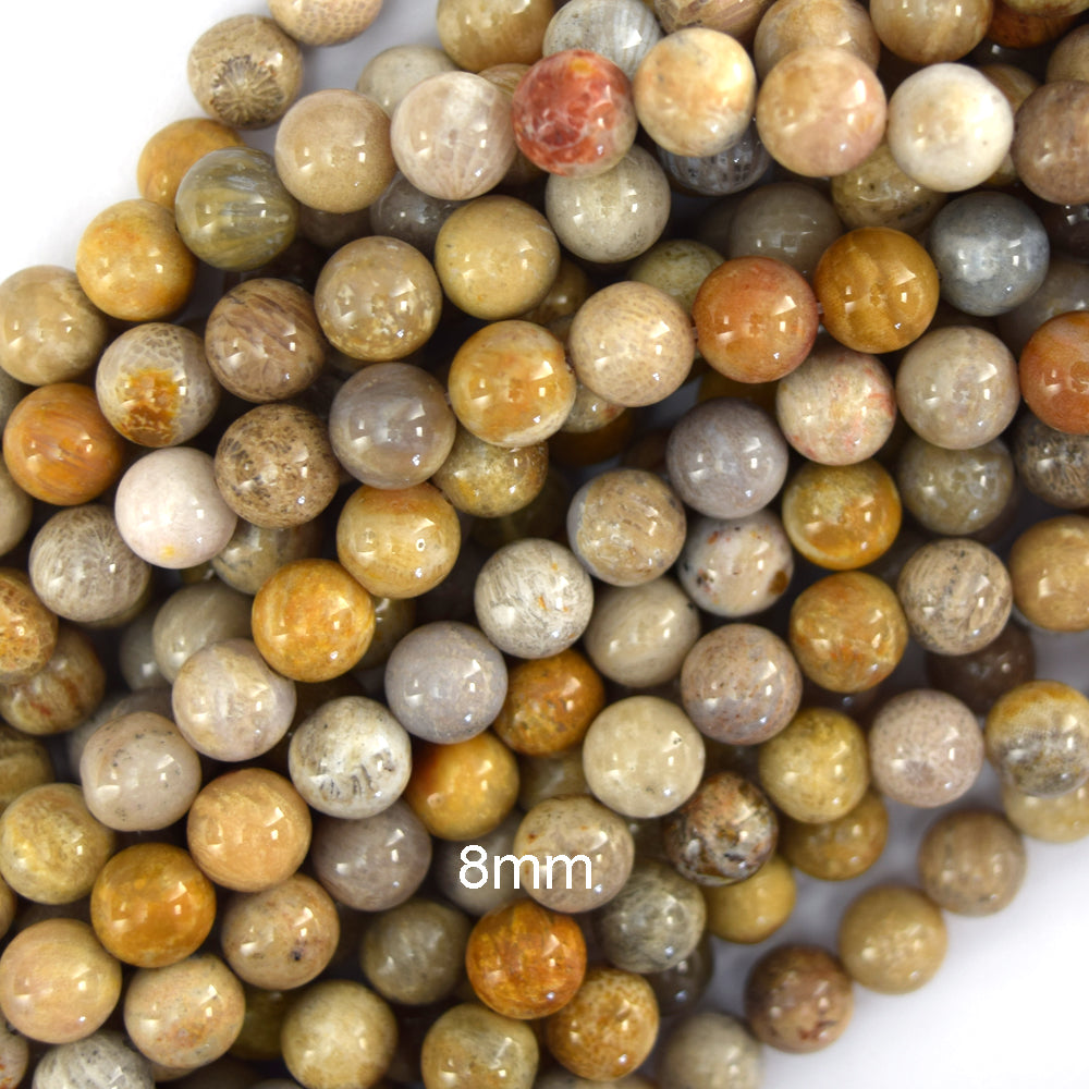 Natural Fossil Coral Round Beads Gemstone 14.5" Strand 4mm 6mm 8mm 10mm