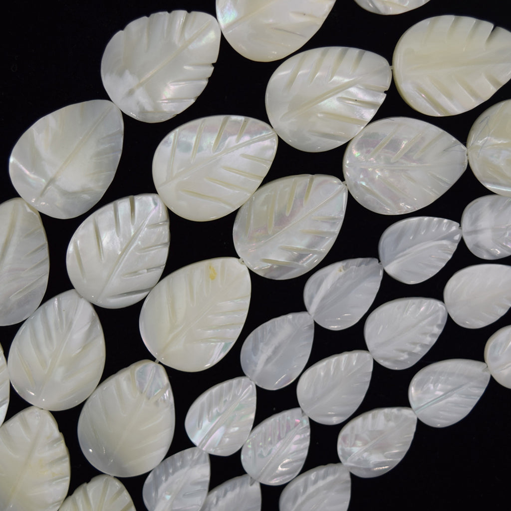White Mother Of Pearl MOP Carved Leaf Beads Gemstone 15.5" Strand 14mm 20mm