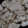 30mm - 45mm white turquoise slab slice nugget beads 15.5