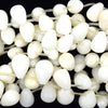14mm cream white agate teardrop beads 16