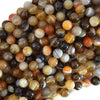 Natural Botswana Agate Round Beads 15.5