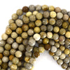 10mm faceted fossil coral round beads 15