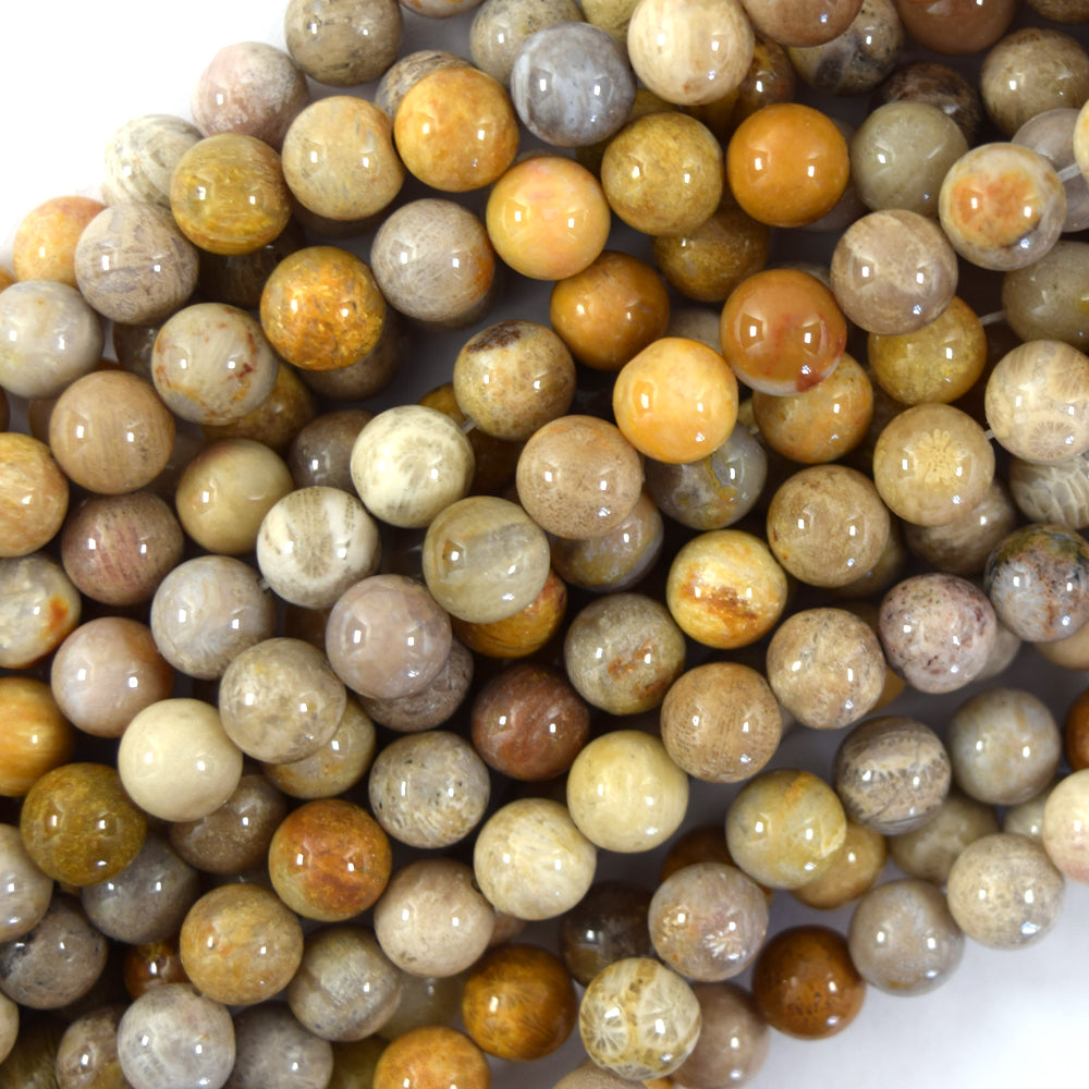 Natural Fossil Coral Round Beads Gemstone 15" Strand 4mm 6mm 8mm 10mm