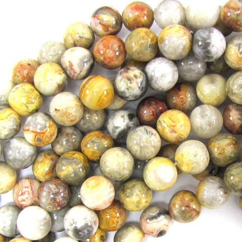 10mm faceted petrified wood agate round beads 15" strand S1