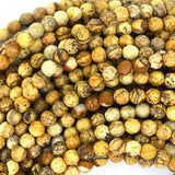 Natural Faceted Picture Jasper Round Beads 15